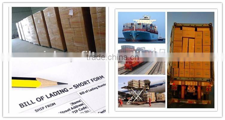 Best TOYOTA Corolla Verso 6PK1875 ribbed belt OEM 96183108