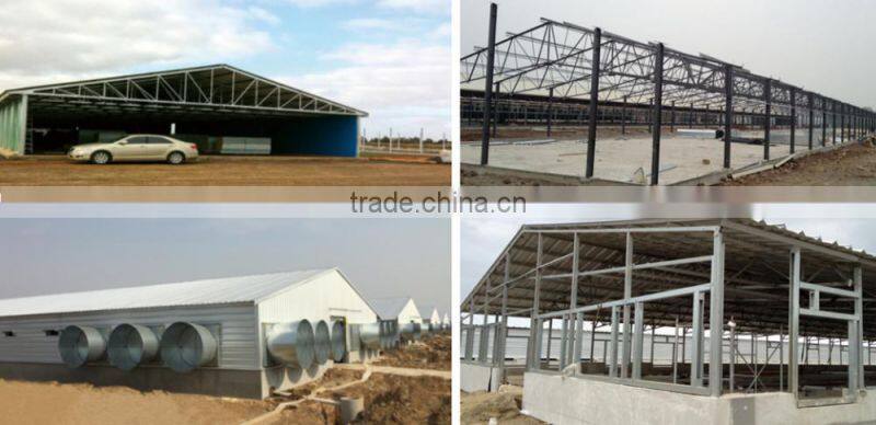 Steel Structure Building