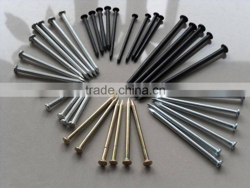 High harden Galvanized #55 Concrete Nail/Or Polished Concrete Nail Factory Direct