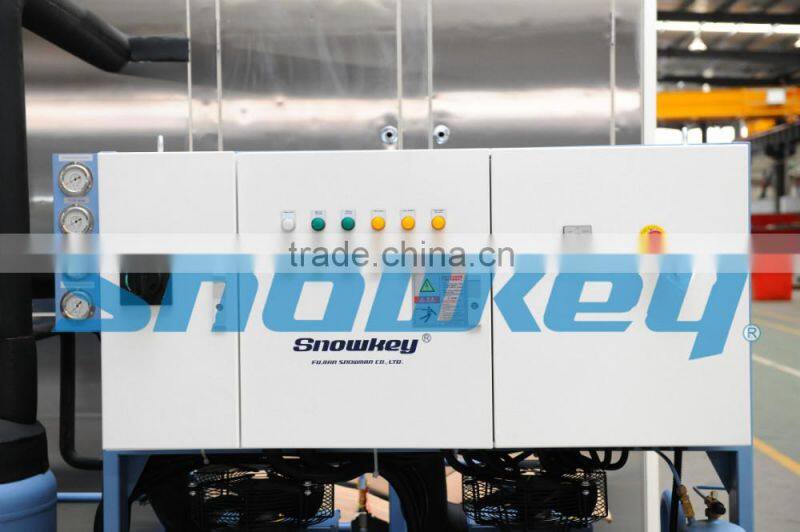 Newest design Plate ice maker 10000kgs per day Commercial plate ice making machinewith high quality