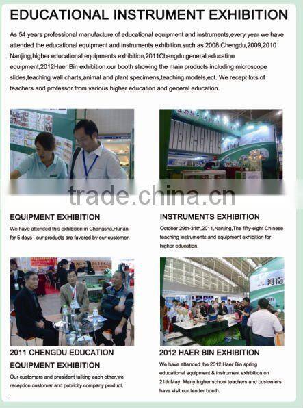 insect specimens,laboratory preserved specimen,50 kinds Chinese butterflies specimen for scientific research, teaching