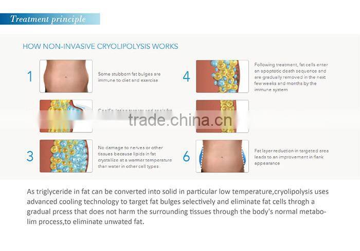 4 in 1 multi-function mode criolipolisys cavitation slimming machine beauty salon equipment