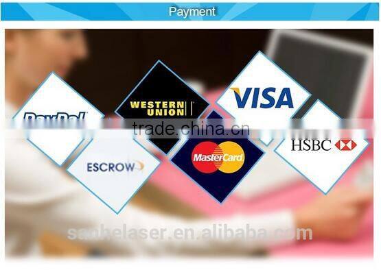 Best Nd YAG diode laser beauty tattoo removal /birth mark removal /skin rejuvenation