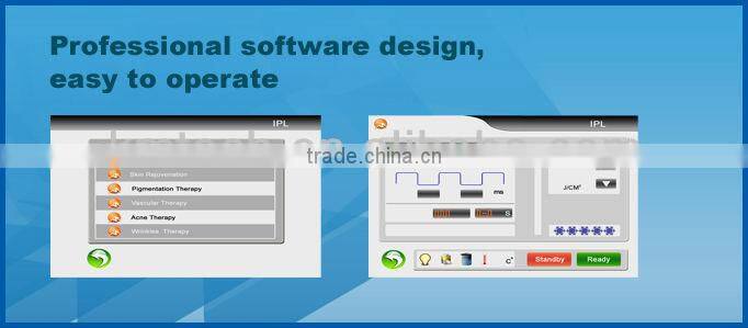 Christmas promotion ipl for arm hair removal