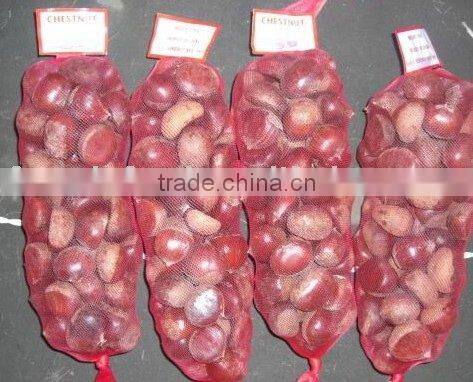 new crop chinese chestnut