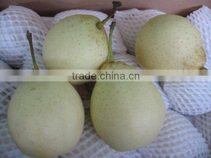 shandong fresh ya pear fruit