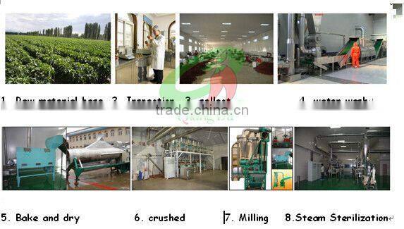 Supplier Farm Directly Sell Paprika Pod