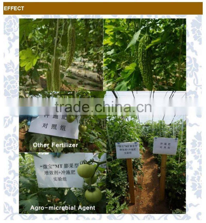 Multifunctional Agro-microbial Agent