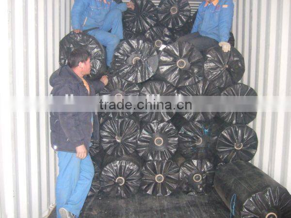 geotextile woven 200g