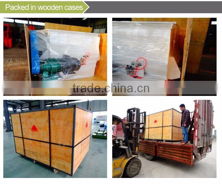 Widely Used Double Shaft Chicken Feed Paddle Mixer