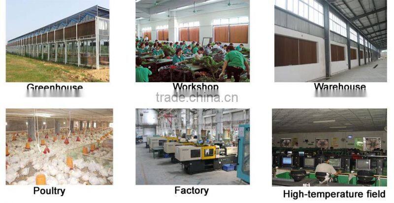Water cooling pad 7-8 years life time farming equipment ventilation