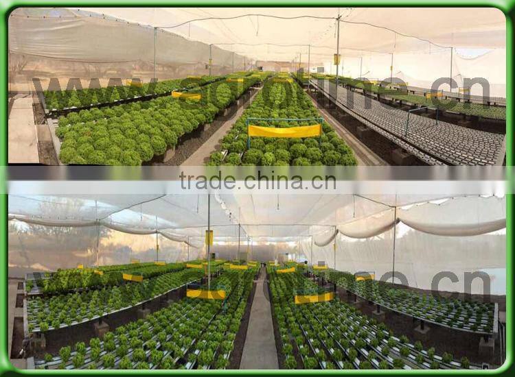 Hot used sale hydroponic tropical greenhouse for tomato