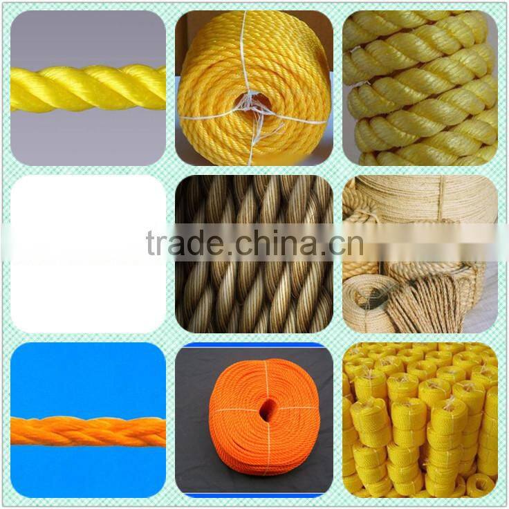 China supplier taian plastic single screw extruder PP twisted rope machine