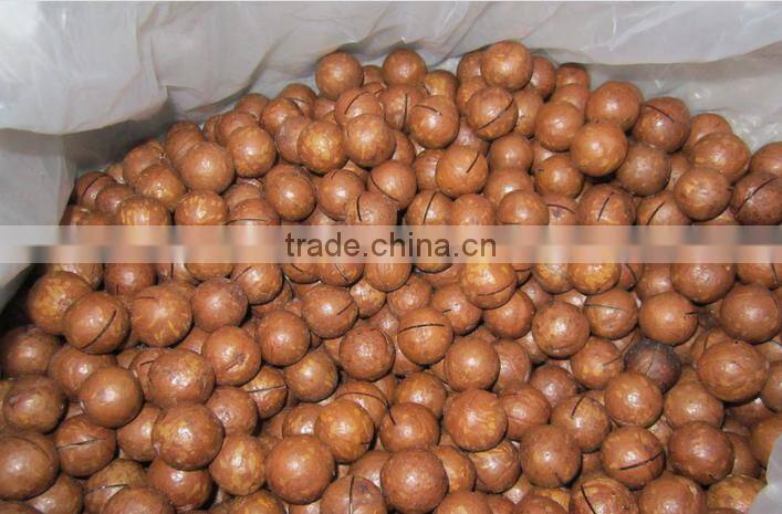 Good quality automatic Macadamia nut tapping machine for sale