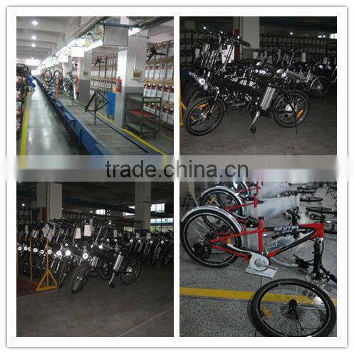 2013 exclusive new CE electric bicycle