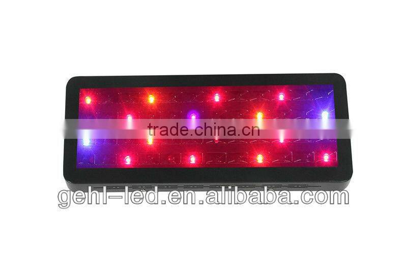 LED Grow Lamps for Indoor Growing Tomatoes