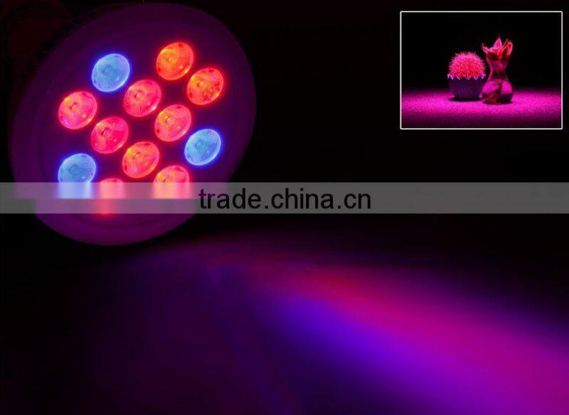 lights from plants to grow and plants with lights for those companies looking for partners