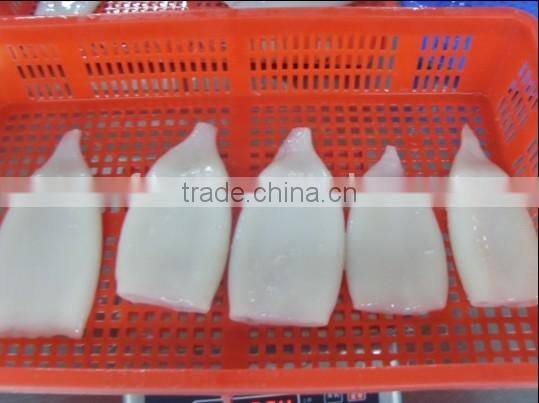 Frozen squid tube with nice quality