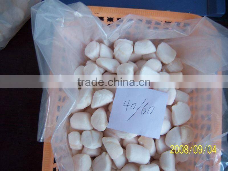Frozen Scallop Meat