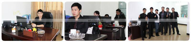 Museum Standard Dinosaur fossils Dinosaurs Skeleton