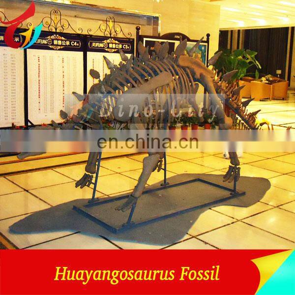 lifesize realistic Dinosaur skeleton fossil sculpture for Sale
