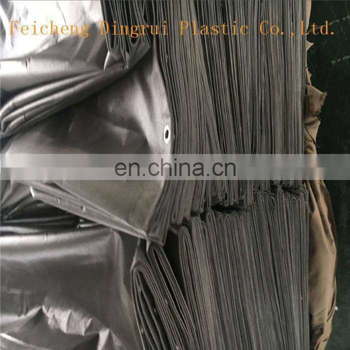 Singapore /Thailand/Japan Market Fireproof And Sunshade PVC Mesh Sheet For Construction