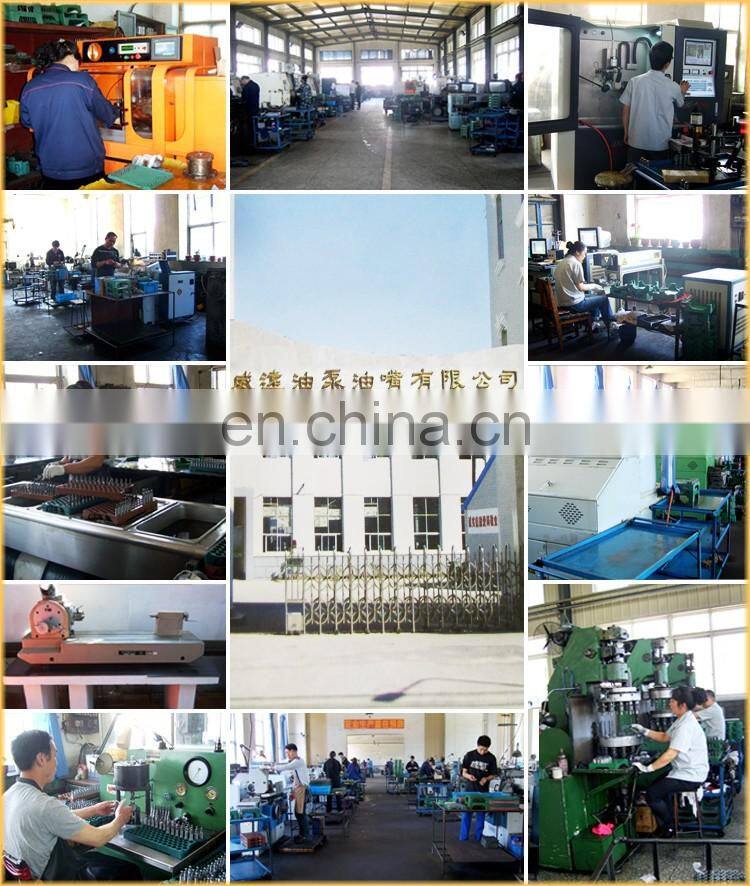 WEIYUAN C7 plunger for Fuel Injection