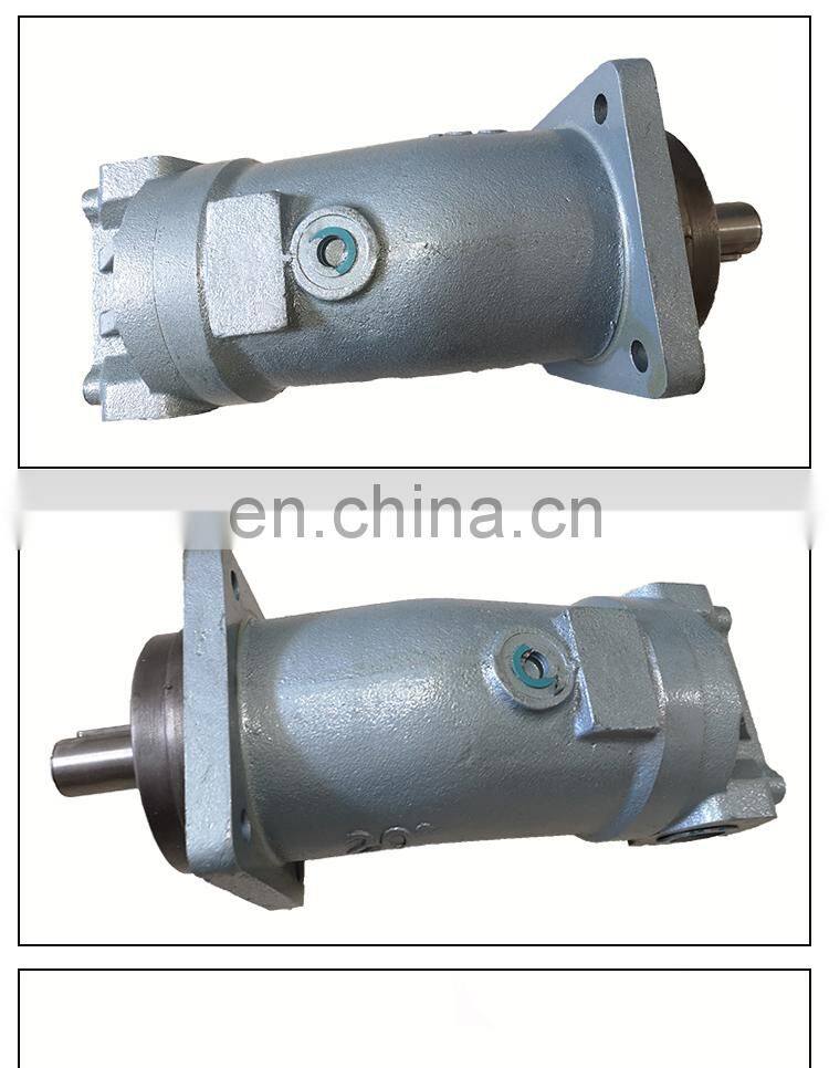 Oblique curved neck pump plunger pump/motor A2F55.63.107.R2P1Quantitative pump