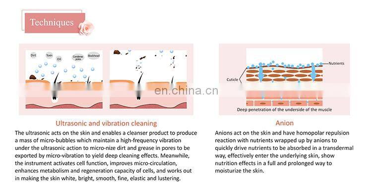 DEESS home use anion beauty ultrasonic generator