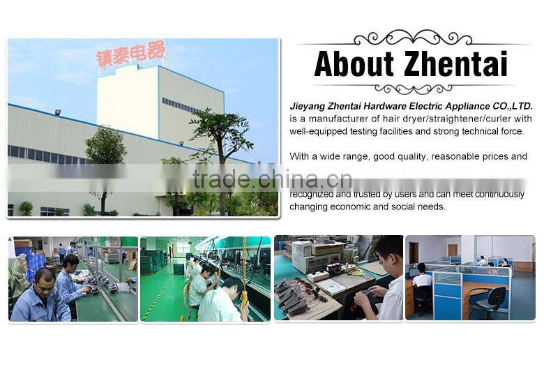 Foldable Hair Dryer Travel 220V Hair Dryer pass CB CE Test