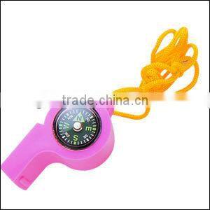 Metal Compass with Ring