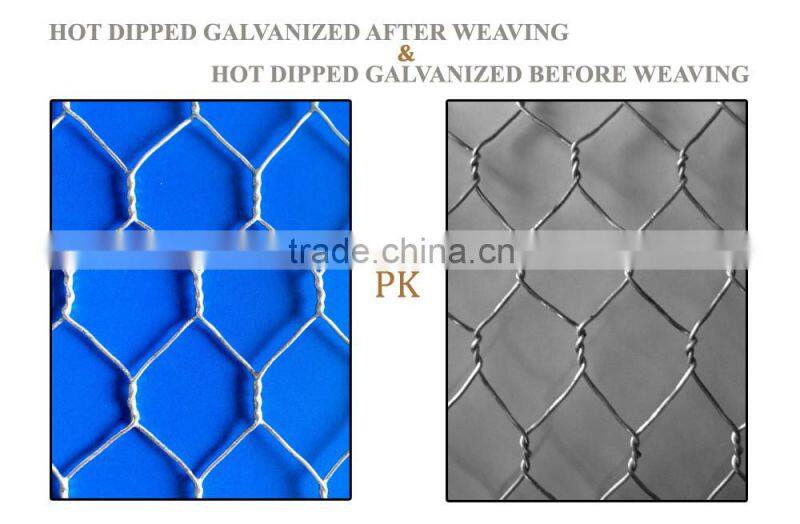 Hex netting 20 gauge 1" and 2" mesh GBW Galvanized Before