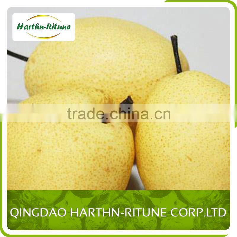 Chinese Fresh Red Fuji Apple