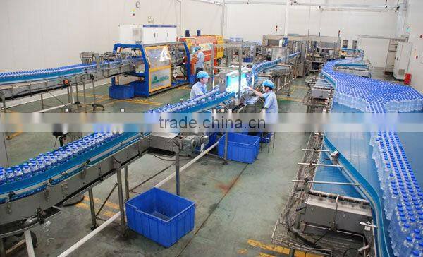 Zhangjiagang Beverage Filling Machine