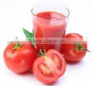 High Efficiency Food Mashing Machine