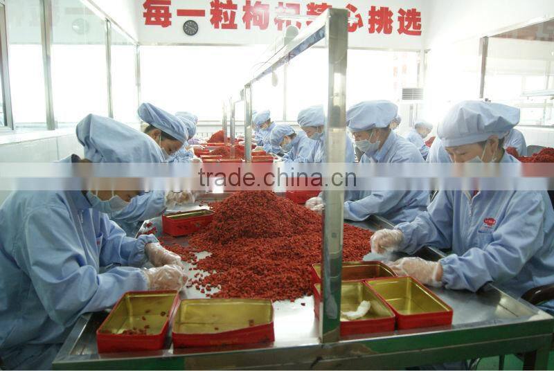 2015's new crop low pesticide gojiberry