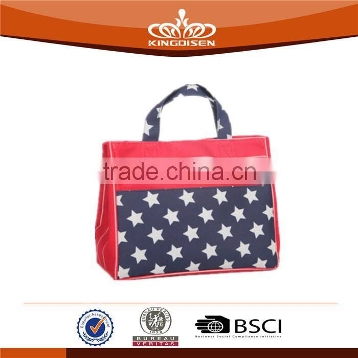 Food Use and Insulated lunch cooler bag