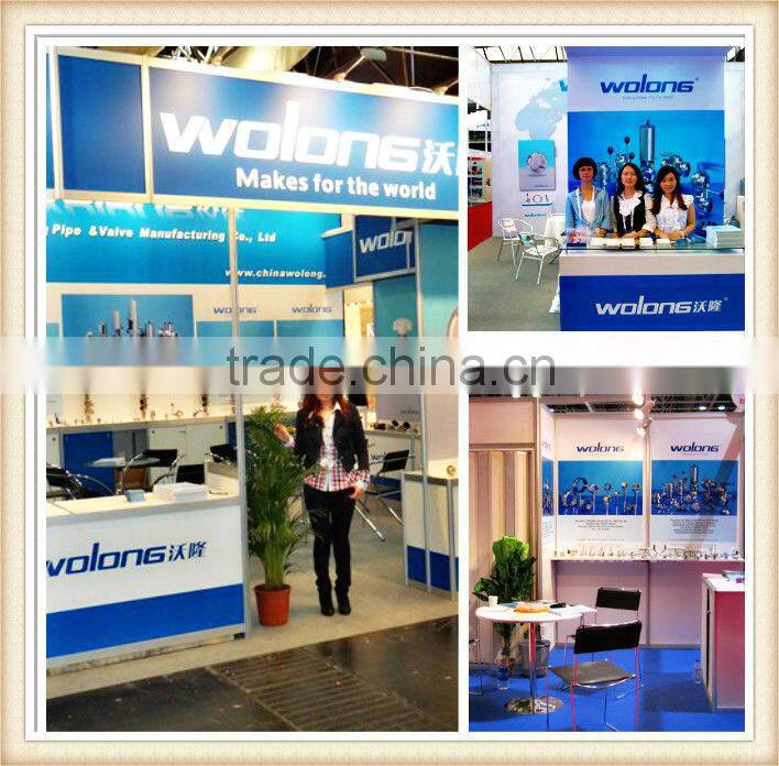 Stainless steel Sanitary manhole cover