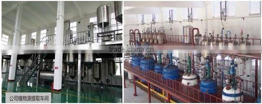 NPK compound fertilizer enhancer Ferti-Enhancer