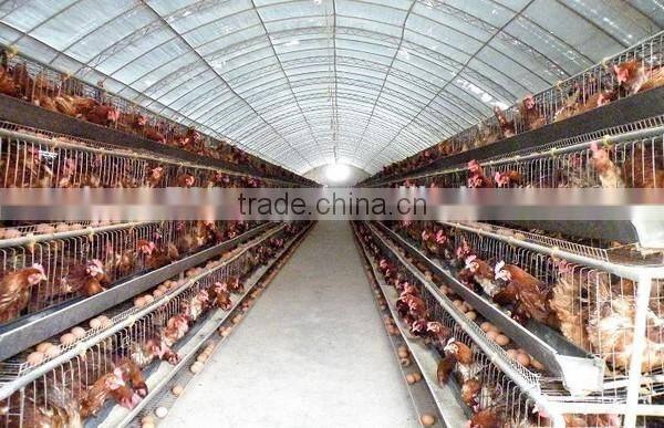 chicken battery cages