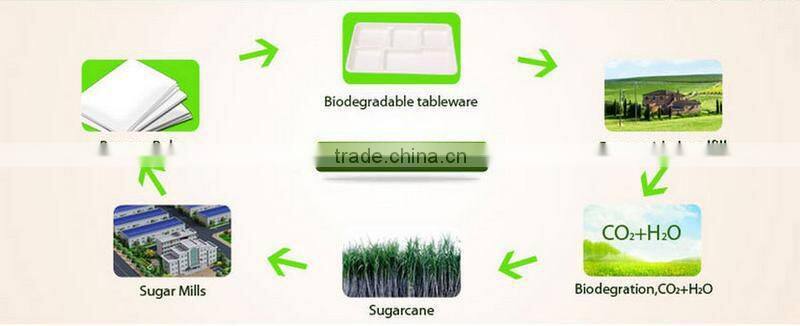 Biodegradable Unbleached Sugarcane Pulp Food Tray with 5 Compartments