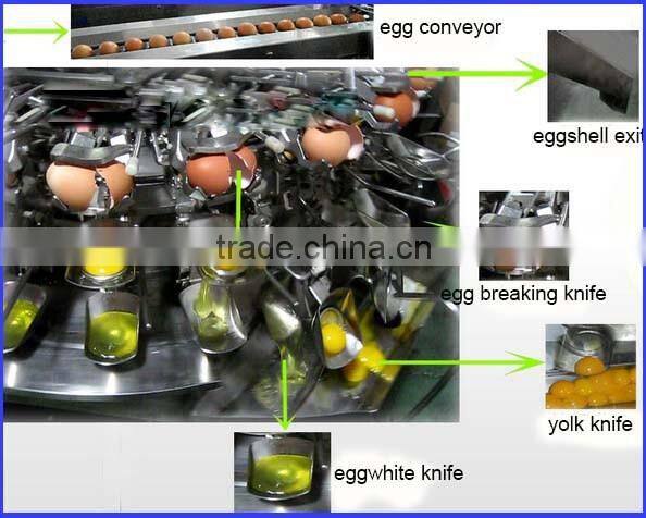 16 Promotion activity egg grading and packing equipment 0086 13721438675