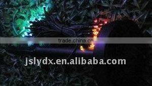 Solar Christmas Light String of LED Solar Light