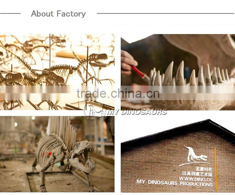 MY Dino-C058 Water park whale skeleton for sale