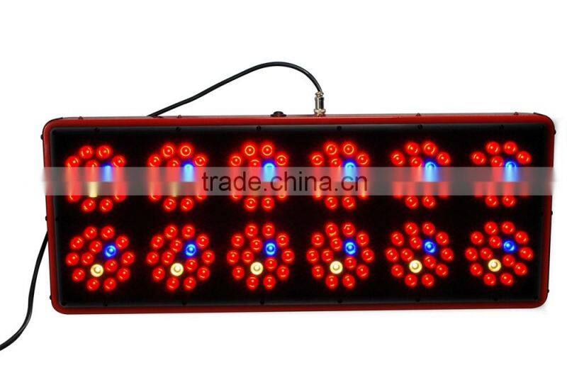2014 best apollo 12 luminacion led para el cultivo for growing plants/Hydroponics alibaba made in China