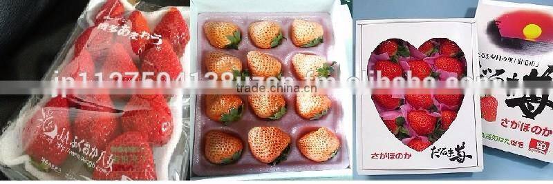 Delicious Komitsu Fuji apple , other fruits also available