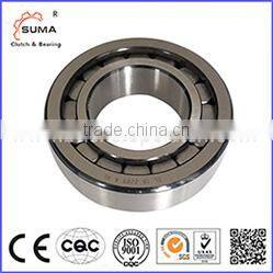SL04 Heavy radial load cylindrical roller bearing full complement bearings