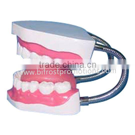 Dental Education Model