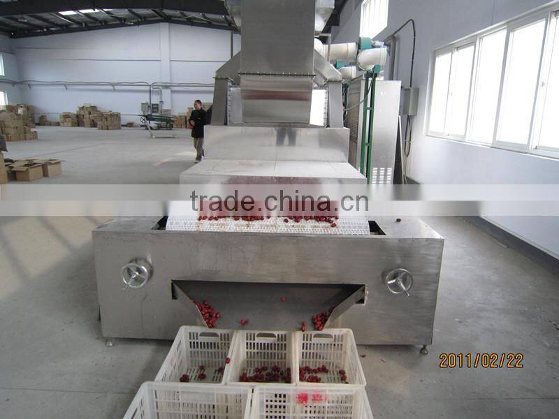 Industrial tunnel type microwave red dates dryer & sterilizer