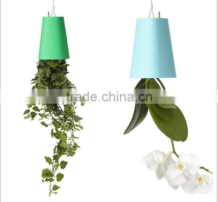 Plastic Sky Planter Creative Decorative Home Mini Sky Garden Flower Pot Beauty Sky Planter